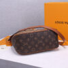 LV Hobo Dauphine PM Handbag