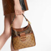 LV Hobo Dauphine PM Handbag