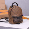 14757-4 LV Palm Springs Mini Backpack