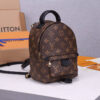 14758-4 LV Palm Springs Mini Backpack