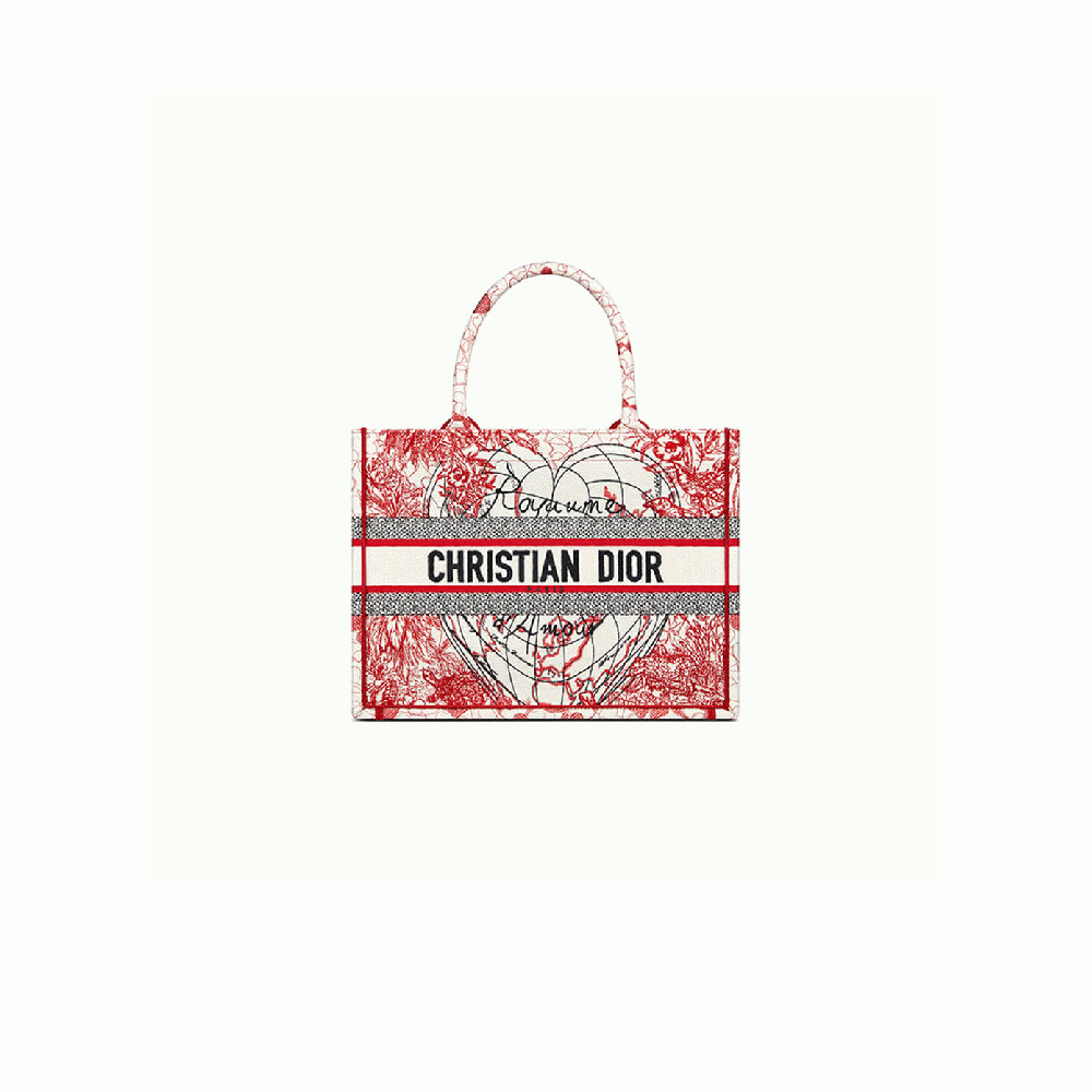 SMALL DIOR BOOK TOTE
