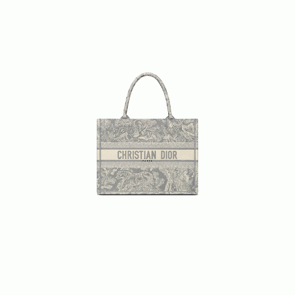 SMALL DIOR BOOK TOTE