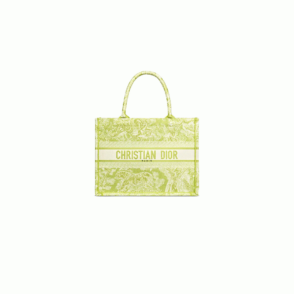 SMALL DIOR BOOK TOTE