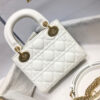 MINI LADY DIOR BAG