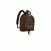 Louis Vuitton PALM SPRINGS MM