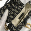 Dior MINI SADDLE BAG