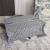 15148-5 LARGE DIOR BOOK TOTE