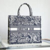 15151-2 LARGE DIOR BOOK TOTE