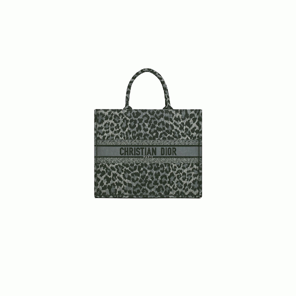 SMALL DIOR BOOK TOTE