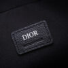 DIOR SAFARI MESSENGER BAG