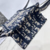 MINI DIOR BOOK TOTE PHONE BAG
