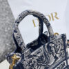 MINI DIOR BOOK TOTE PHONE BAG