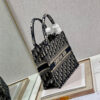 SMALL DIOR BOOK TOTE