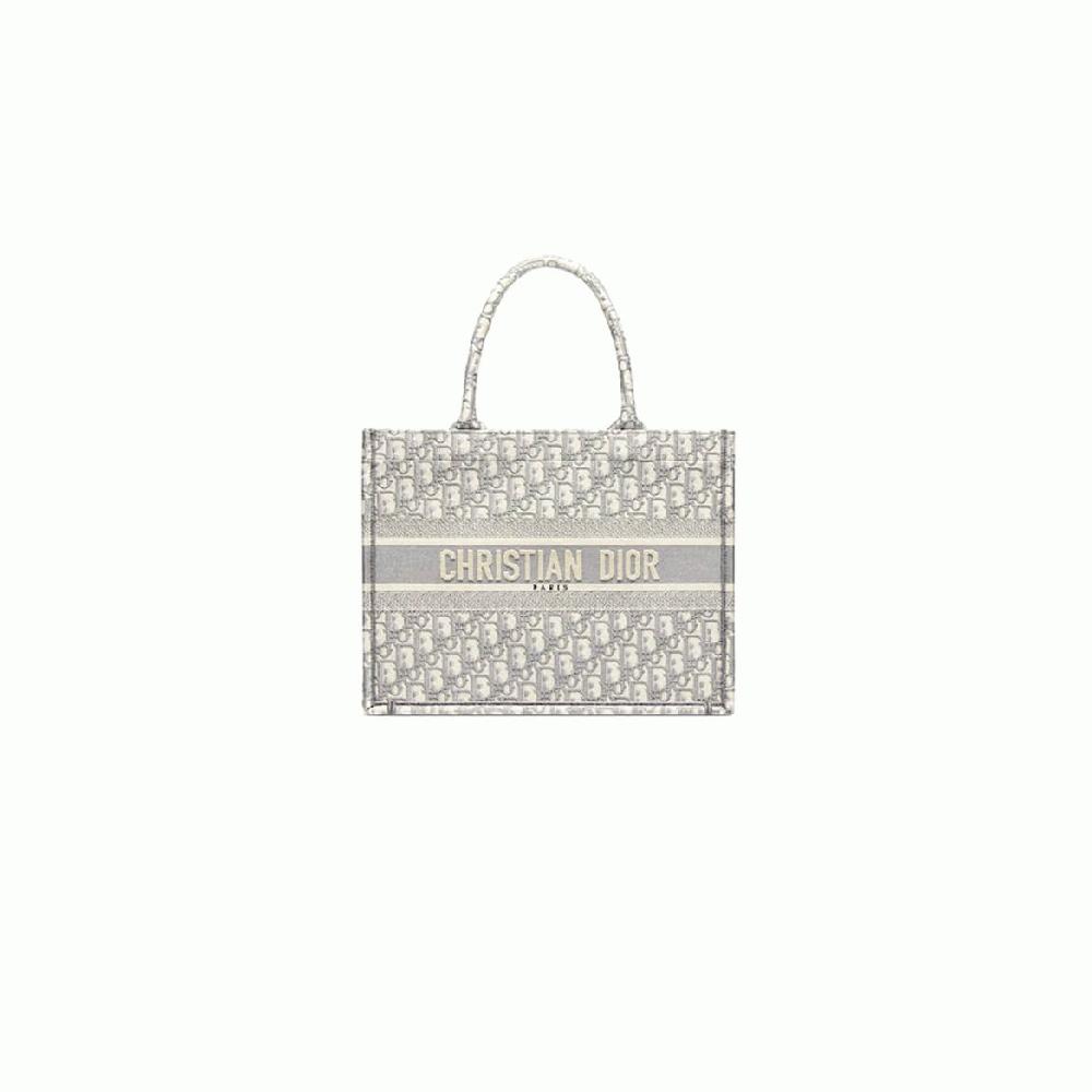 SMALL DIOR BOOK TOTE