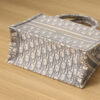 SMALL DIOR BOOK TOTE