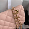 15418-6 CHANEL Classic Flap Medium
