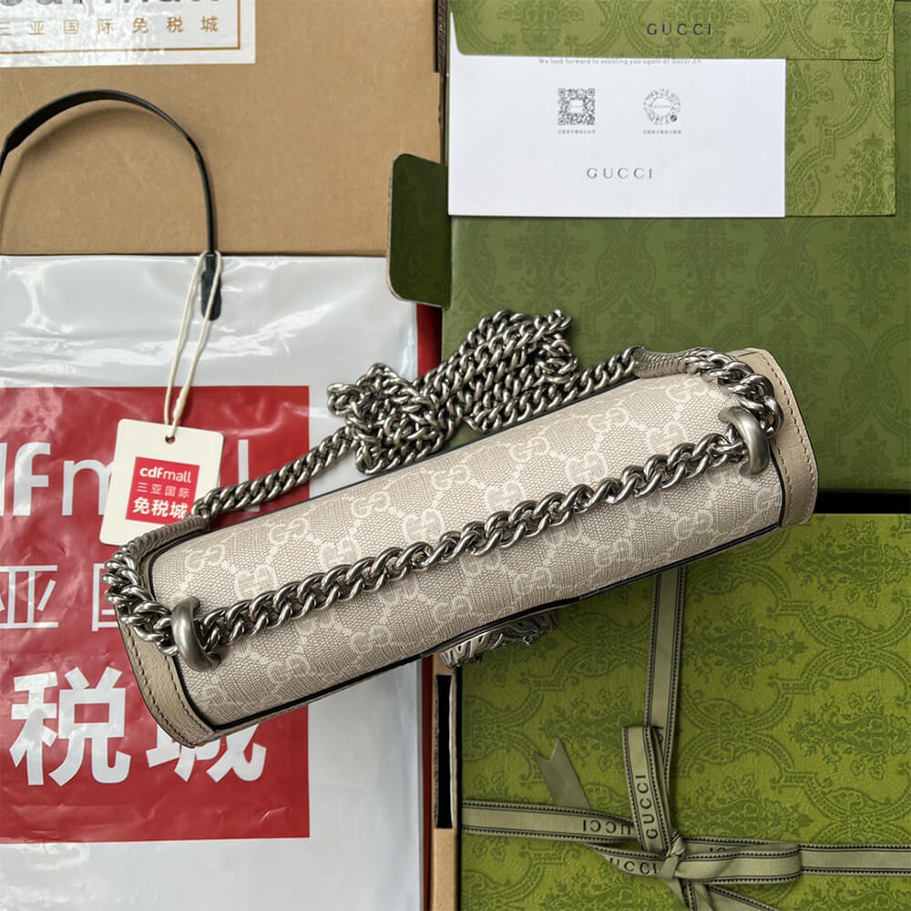 15509-4 Dionysus GG small shoulder bag