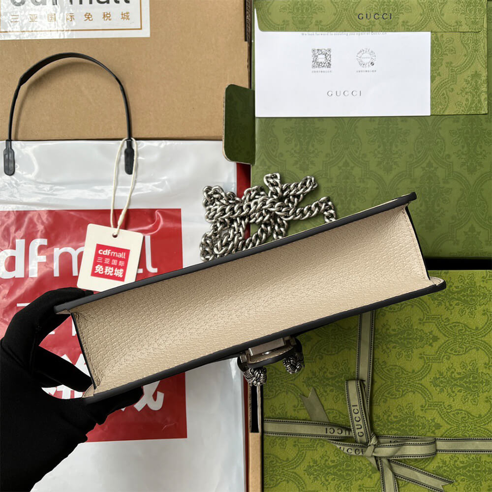 15509-6 Dionysus GG small shoulder bag