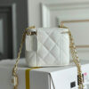Chanel SMALL VANITY WITH CHAIN