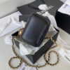 Chanel SMALL VANITY WITH CHAIN