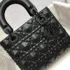 SMALL LADY DIOR MY ABCDIOR BAG