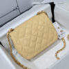 Chanel MINI FLAP BAG