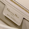 MEDIUM DIOR CARO BAG
