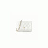 15770-1 CHANEL Wallet On Chain