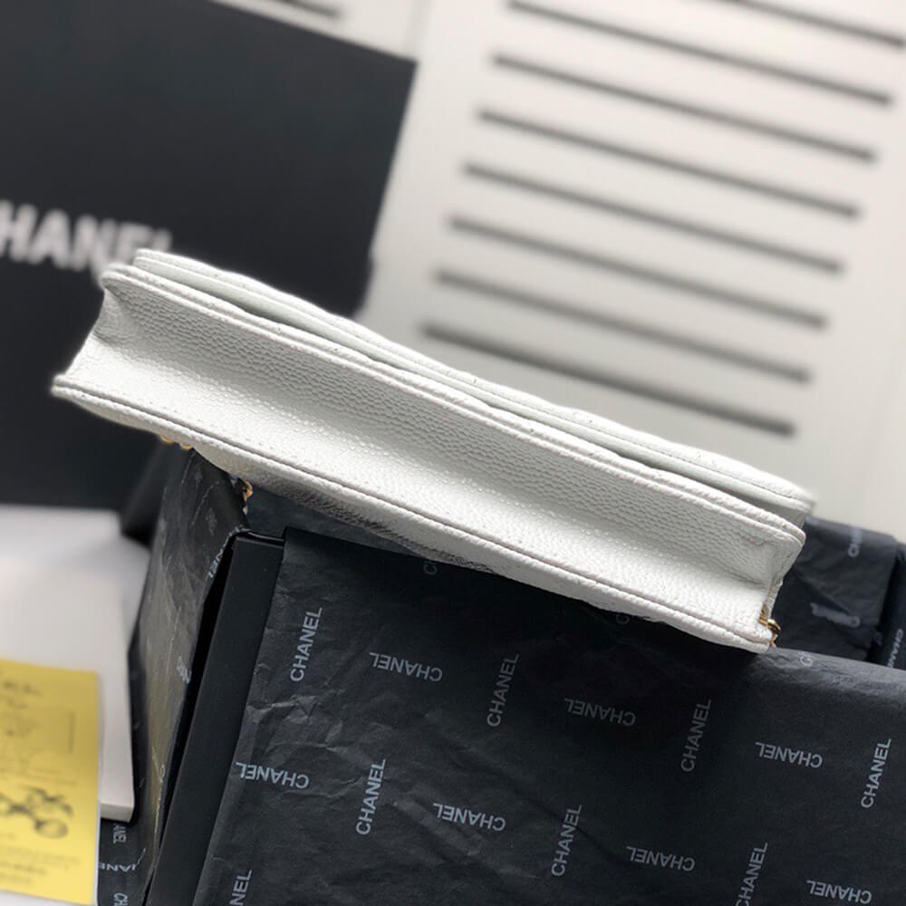 15770-6 CHANEL Wallet On Chain