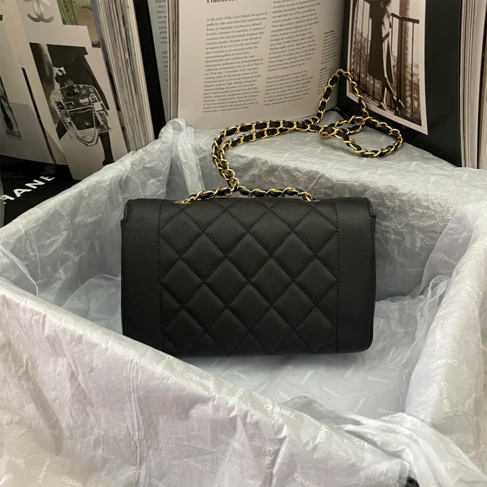 Chanel Vintage Small Diana Flap Bag