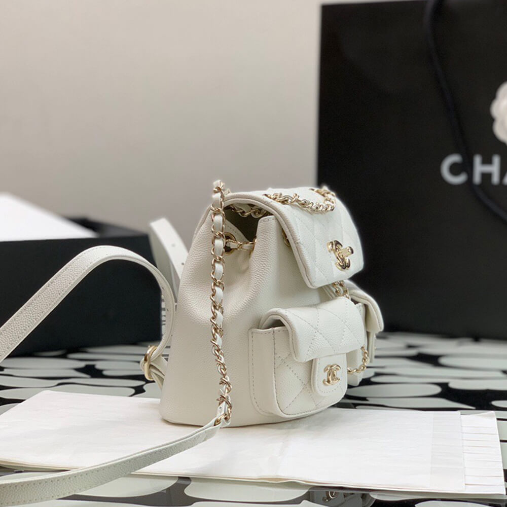 15876-3 CHANEL SMALL BACKPACK