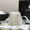 15876-4 CHANEL SMALL BACKPACK