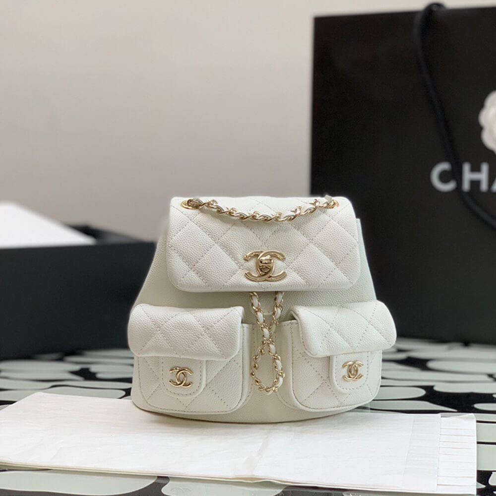 15876-8 CHANEL SMALL BACKPACK