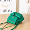 15880-6 CHANEL BACKPACK