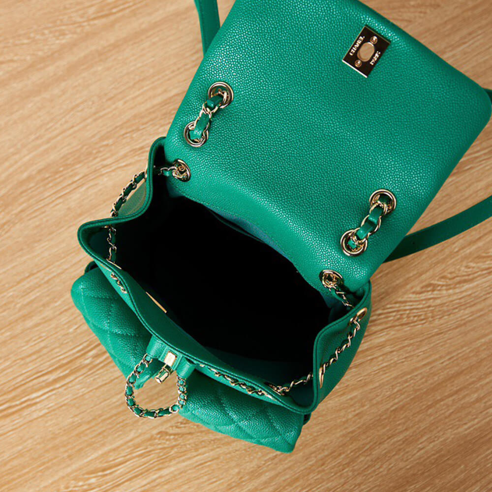 15880-8 CHANEL BACKPACK