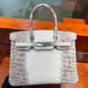 Hermes Birkin 30 Himalayan
