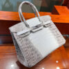 Hermes Birkin 30 Himalayan