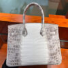 Hermes Birkin 30 Himalayan