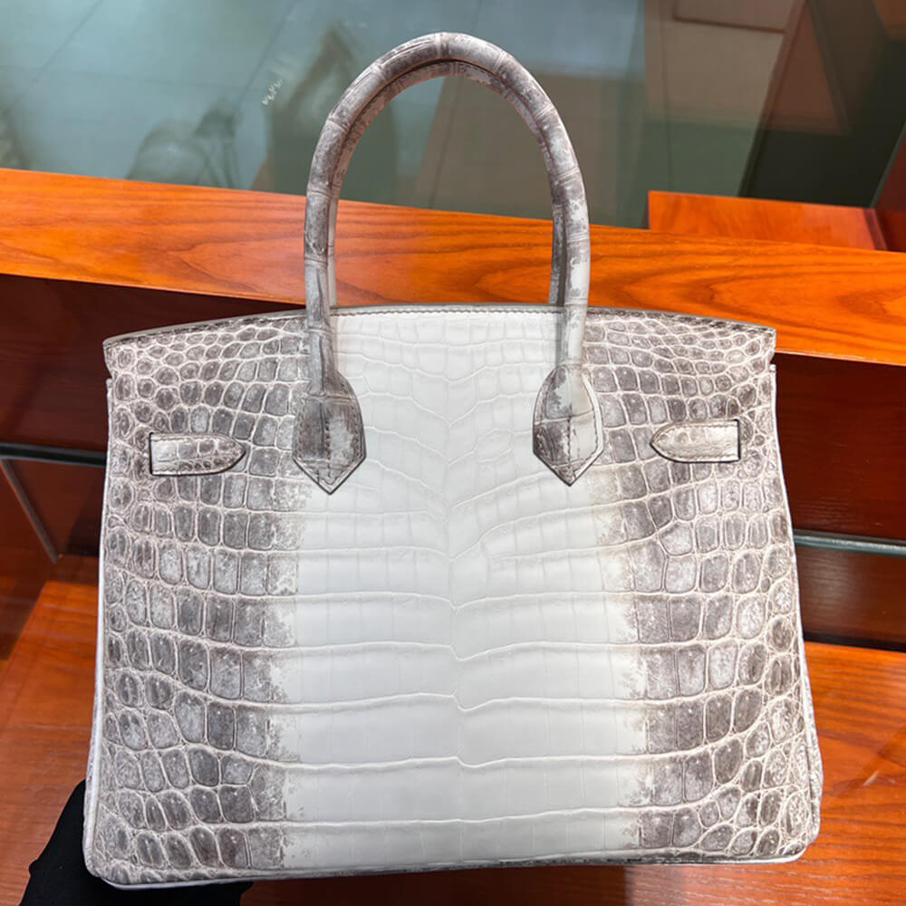 Hermes Birkin 30 Himalayan
