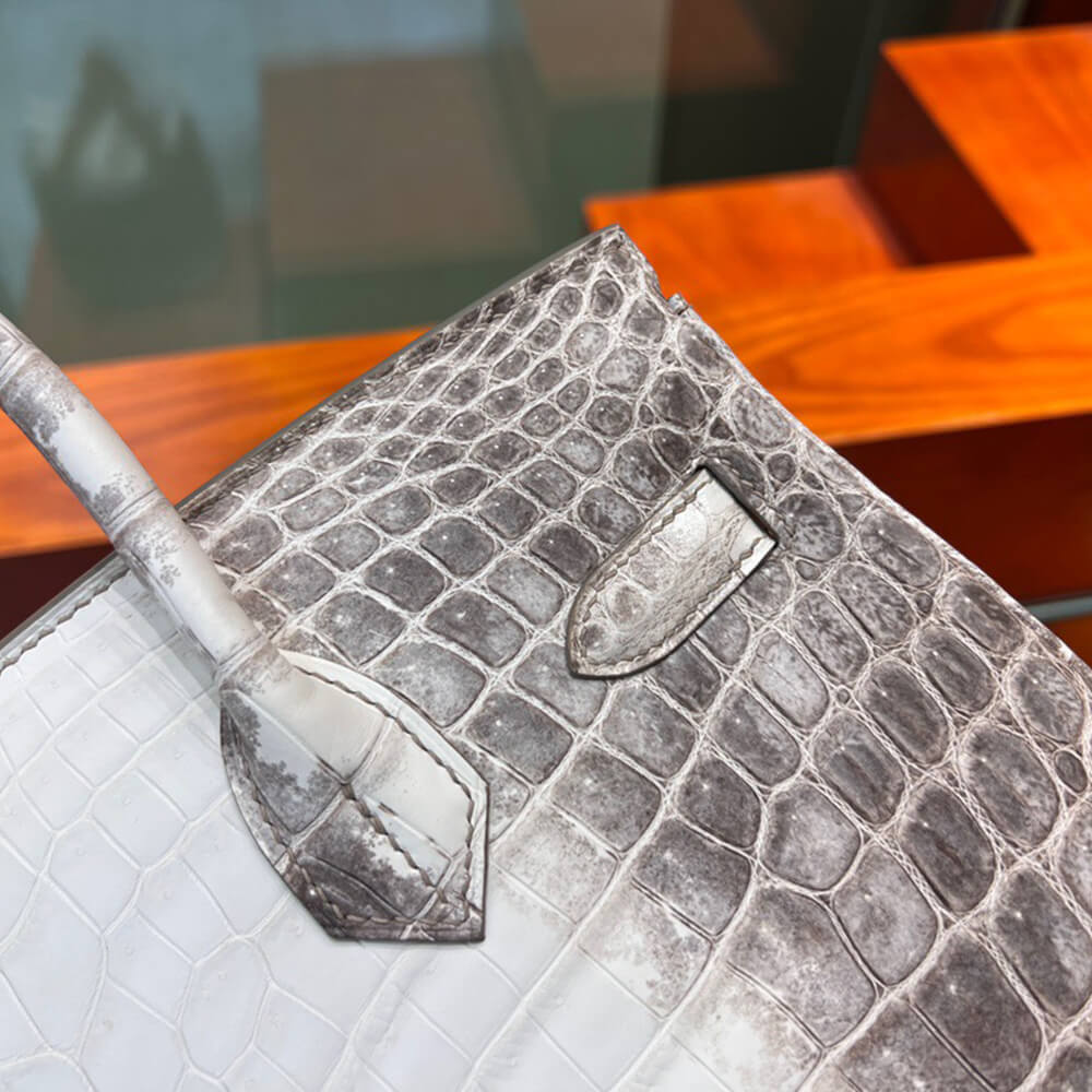 Hermes Birkin 30 Himalayan