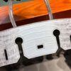 Hermes Birkin 30 Himalayan