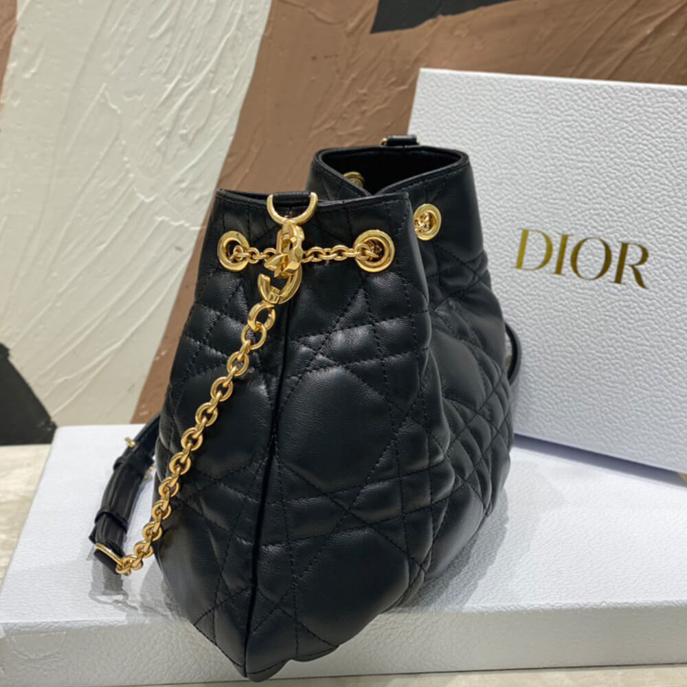 15925-3 MEDIUM DIOR AMMI BAG