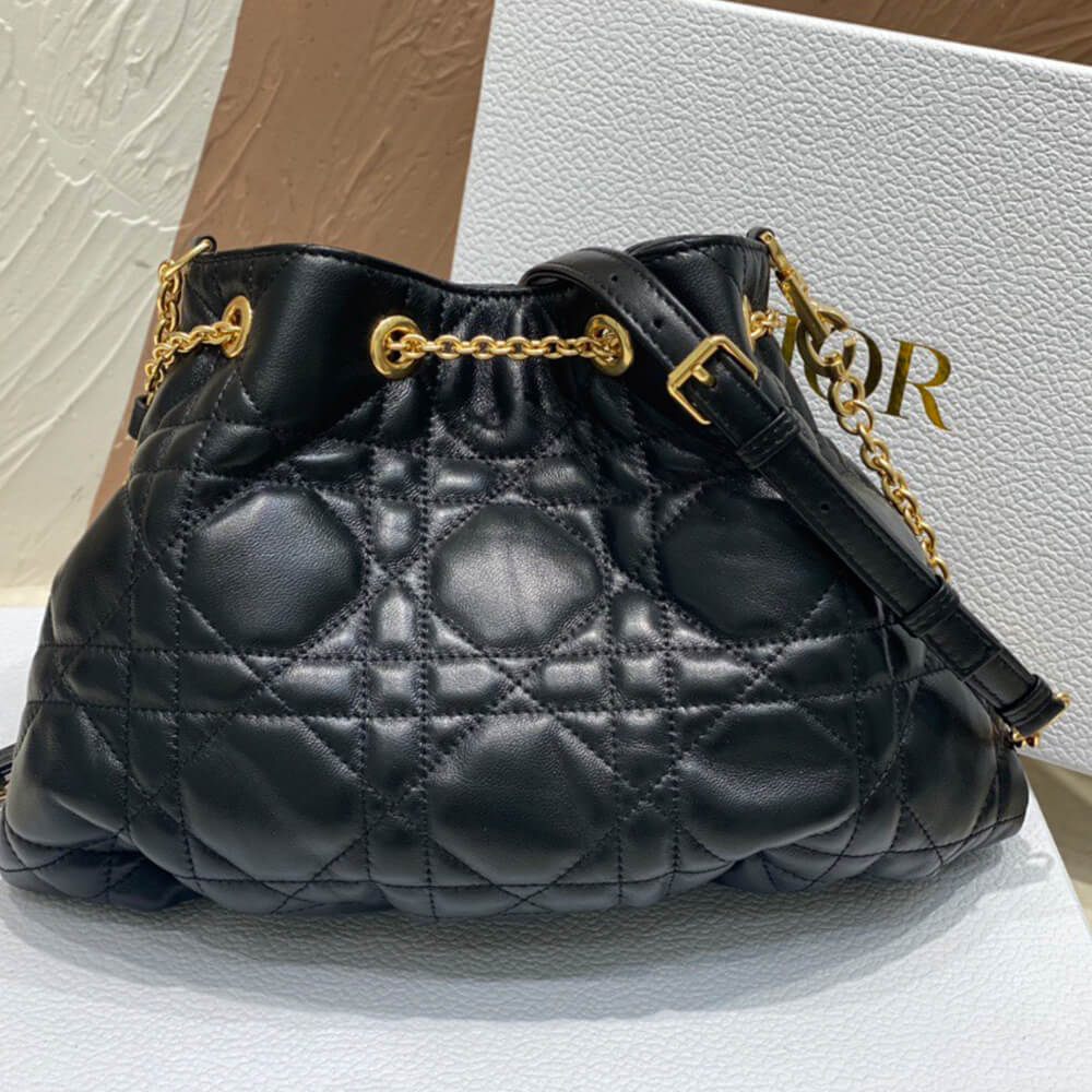 15925-4 MEDIUM DIOR AMMI BAG