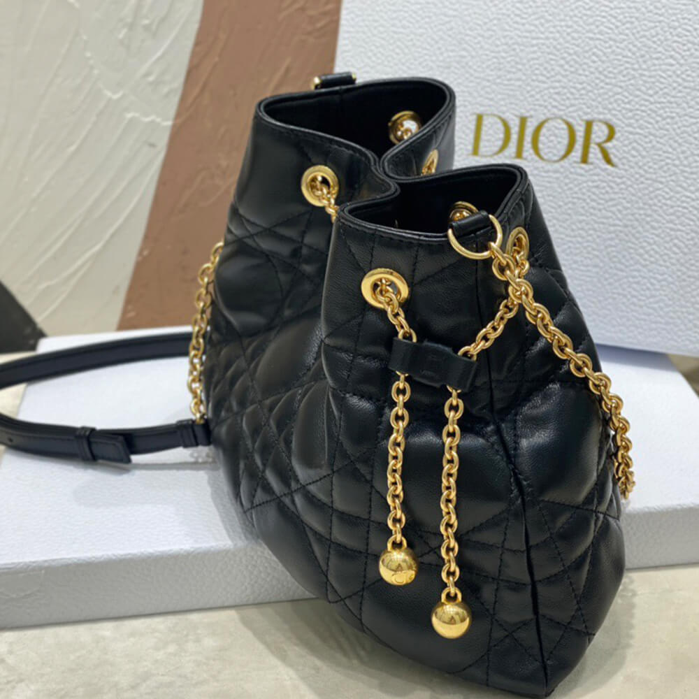 15925-5 MEDIUM DIOR AMMI BAG