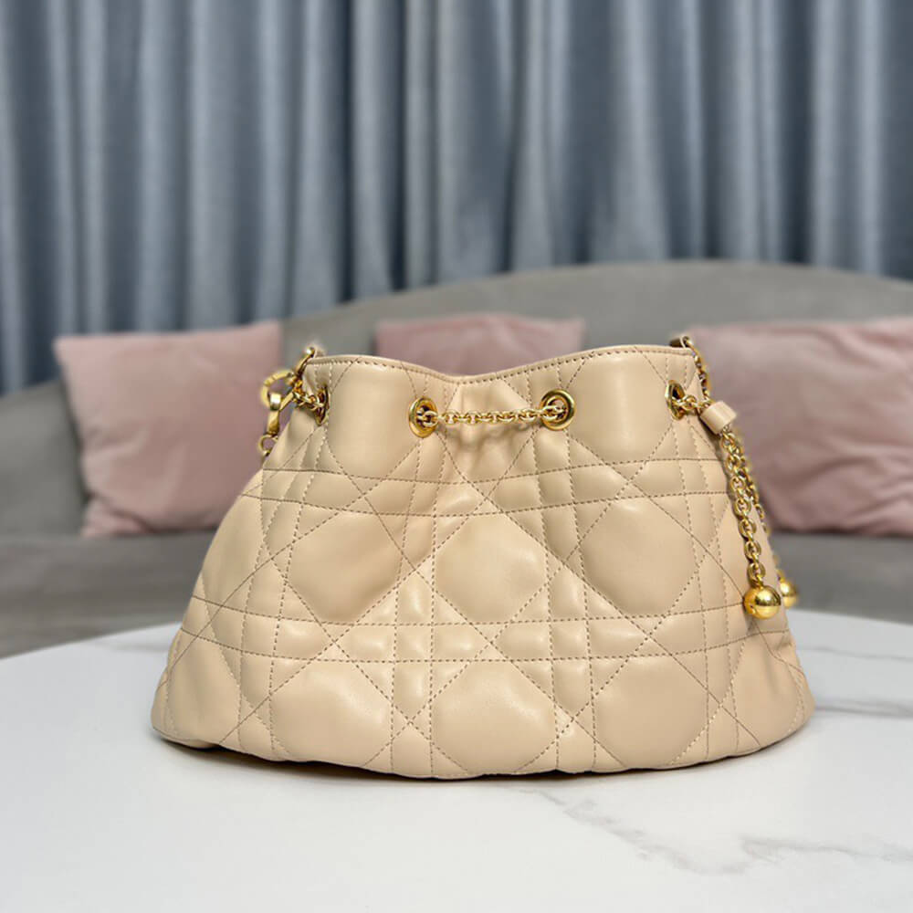 15926-3 MEDIUM DIOR AMMI BAG