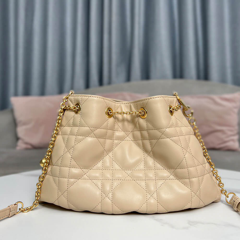 15926-4 MEDIUM DIOR AMMI BAG