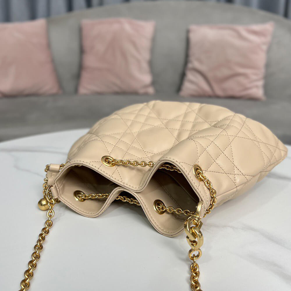 15926-6 MEDIUM DIOR AMMI BAG