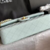 CHANEL Classic Flap Handbag