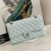 15942-2 CHANEL Classic Flap Handbag