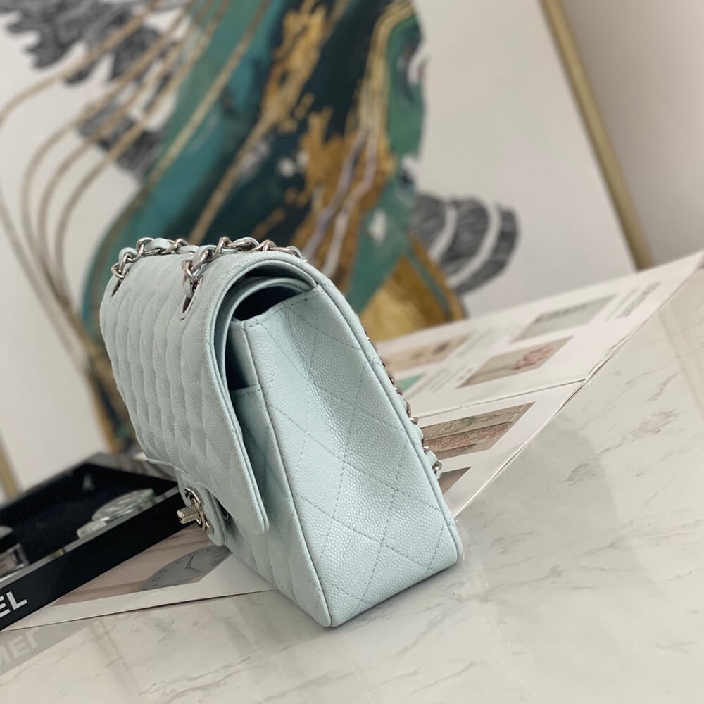 15942-3 CHANEL Classic Flap Handbag